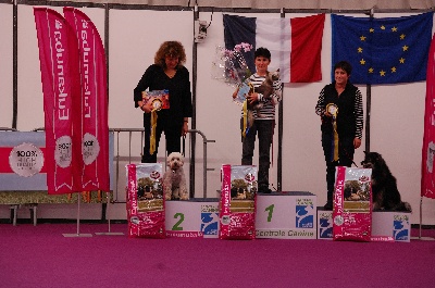 Kokeshi 'c Dogs - HUNA  Championne de France  Oberythmée