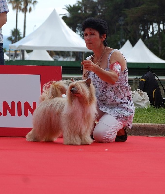 Kokeshi 'c Dogs - Fuego champion du PORTUGAL